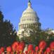 U.S. Capitol